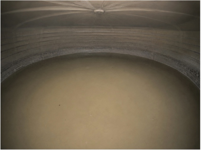 A bucket of cloudy, tan-coloured water drawn from a rainwater tank