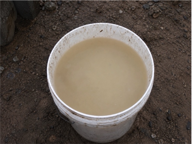 A hose filling a white bucket with muddy brown water drawn from a tank