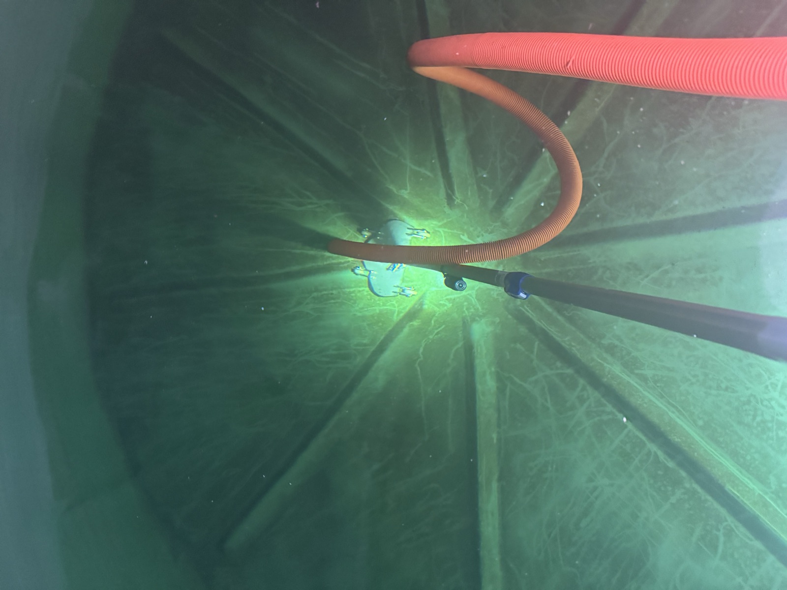 Looking down through green tank water at a vacuum head working across the sediment on the tank floor