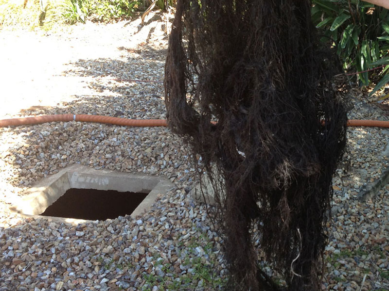 Root Removed from Water Tank | Pristine Water Systems | Water Storage Tank Cleaning, Filtration & Treatment