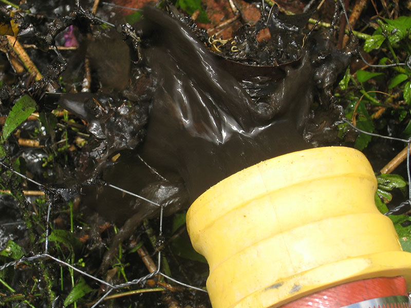 Black Sludge | Pristine Water Systems | Water Storage Tank Cleaning, Filtration & Treatment